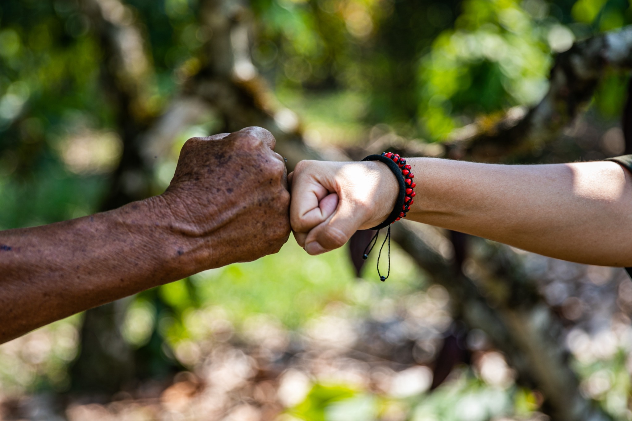 Encuentro de manos que representa la colaboración con productores