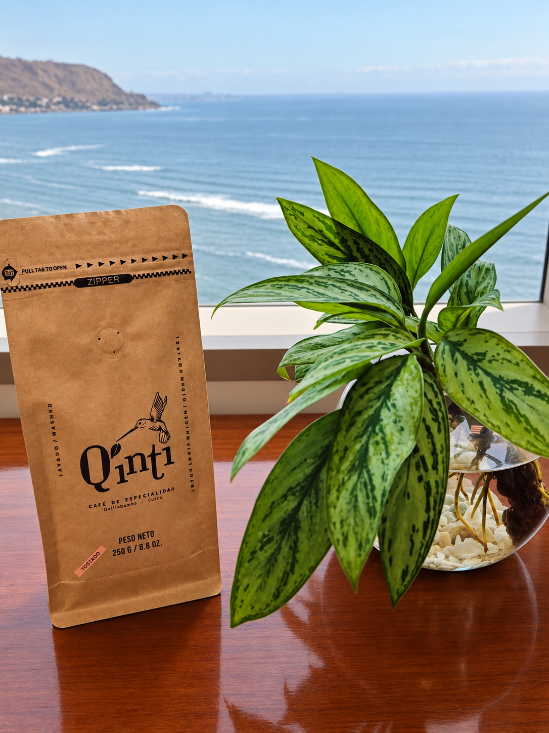 Empaque real de café Q’ínti tostado en grano de 250 gramos junto a una planta y vista al mar